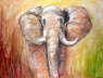 Elefant (AnneMarie Siber)