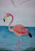 Flamingo (AnneMarie Siber)